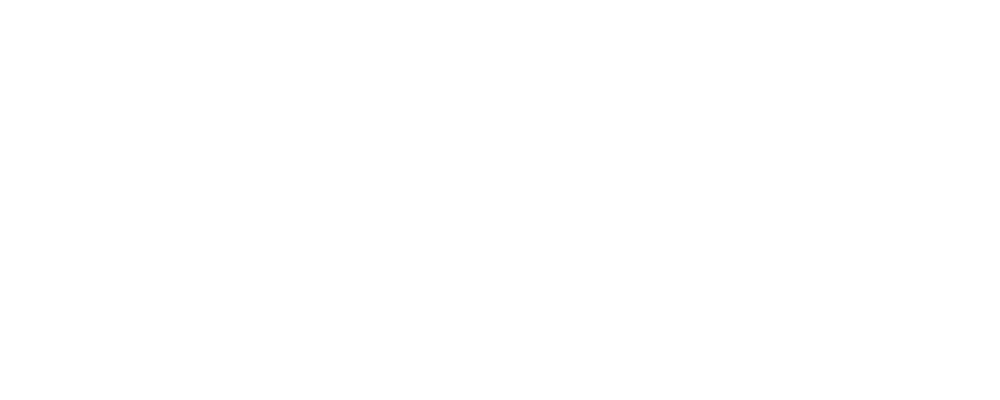 Fringe Insights Logo
